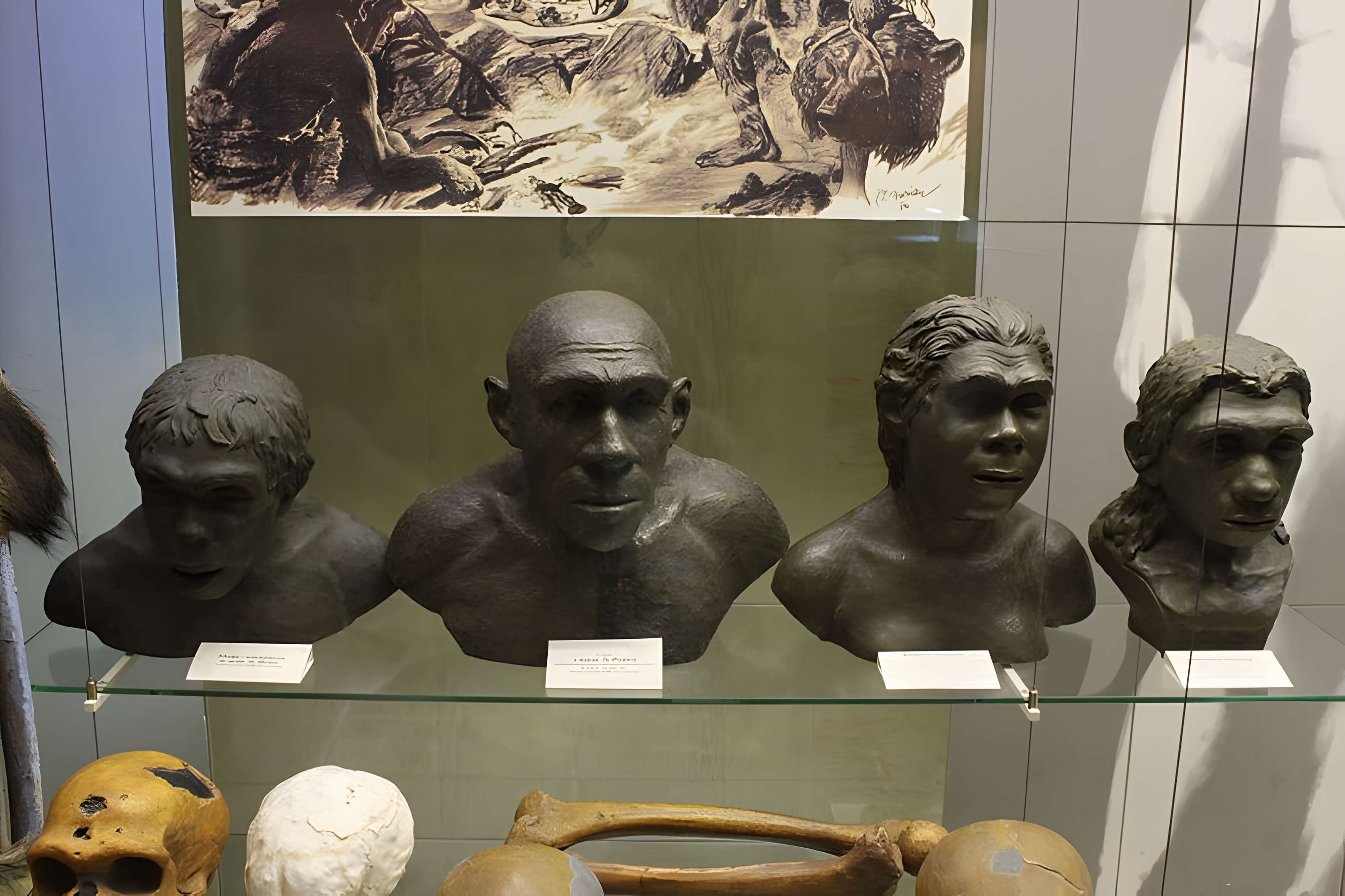 Gisement préhistorique du Moustier à Saint-Léon-sur-Vézère