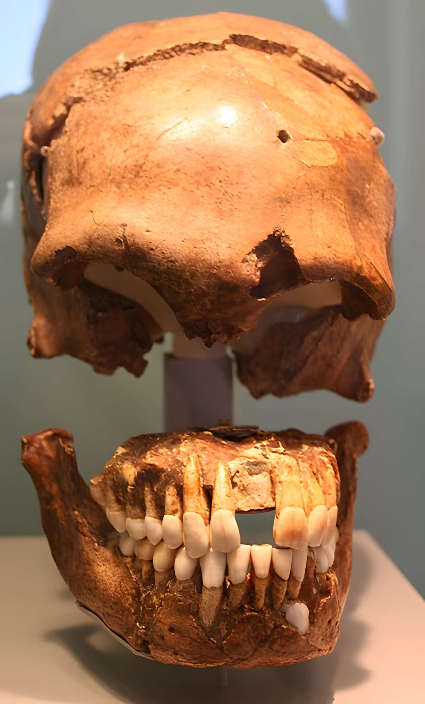 Gisement préhistorique du Moustier à Saint-Léon-sur-Vézère