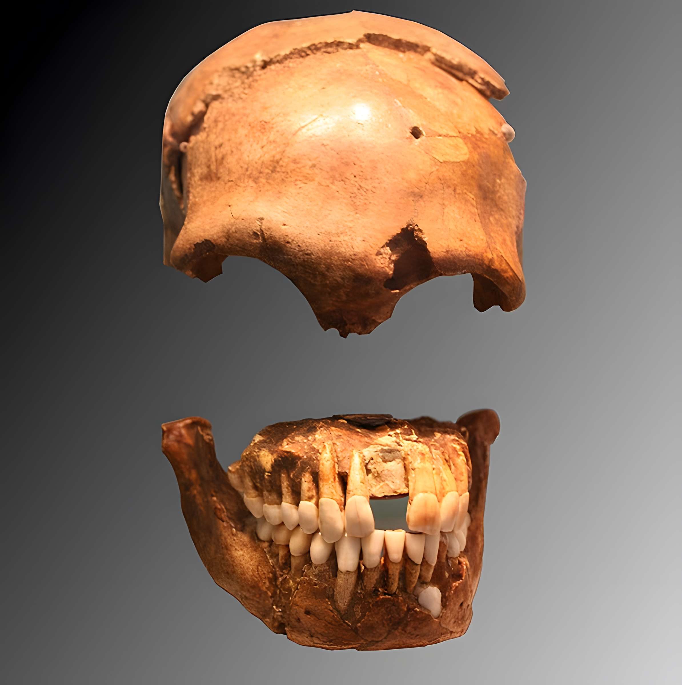 Gisement préhistorique du Moustier à Saint-Léon-sur-Vézère