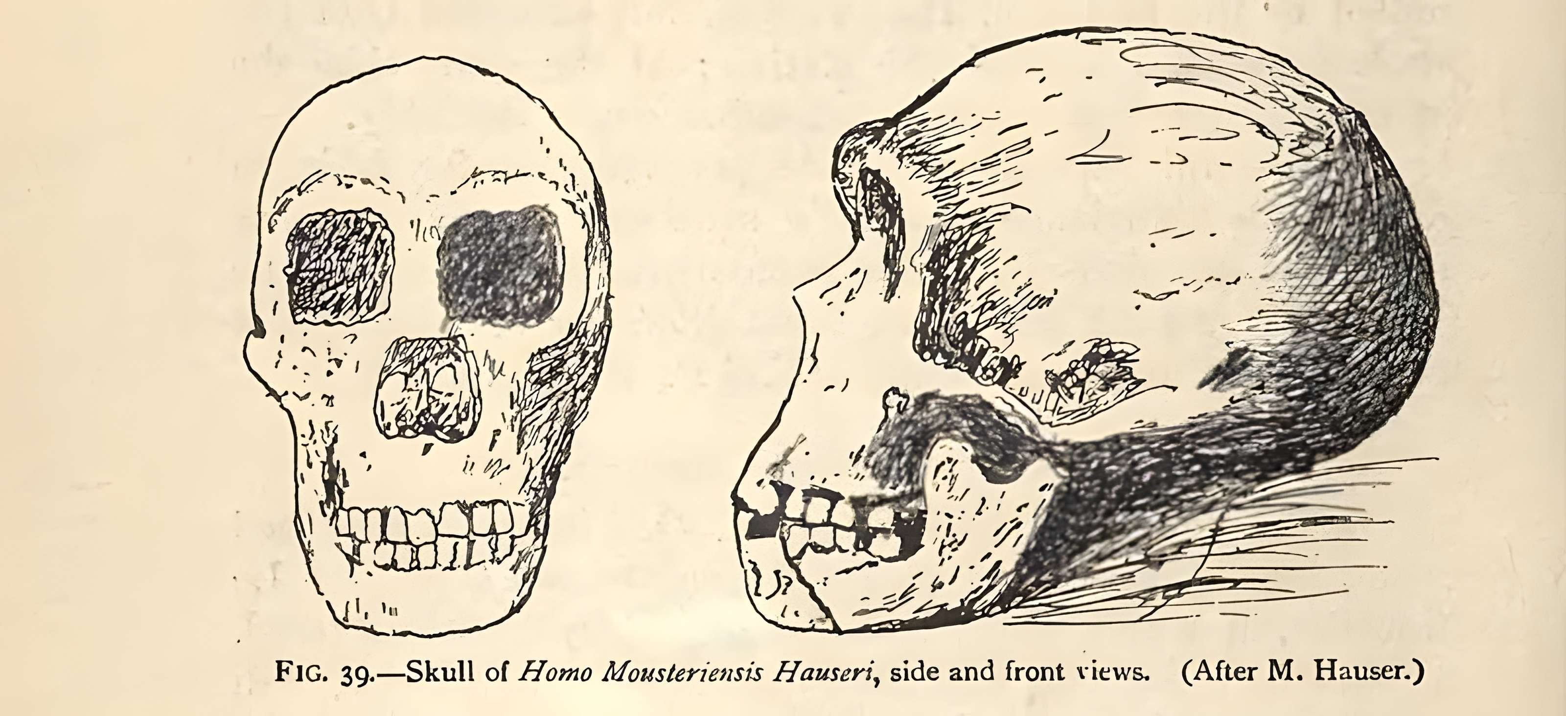 Gisement préhistorique du Moustier à Saint-Léon-sur-Vézère