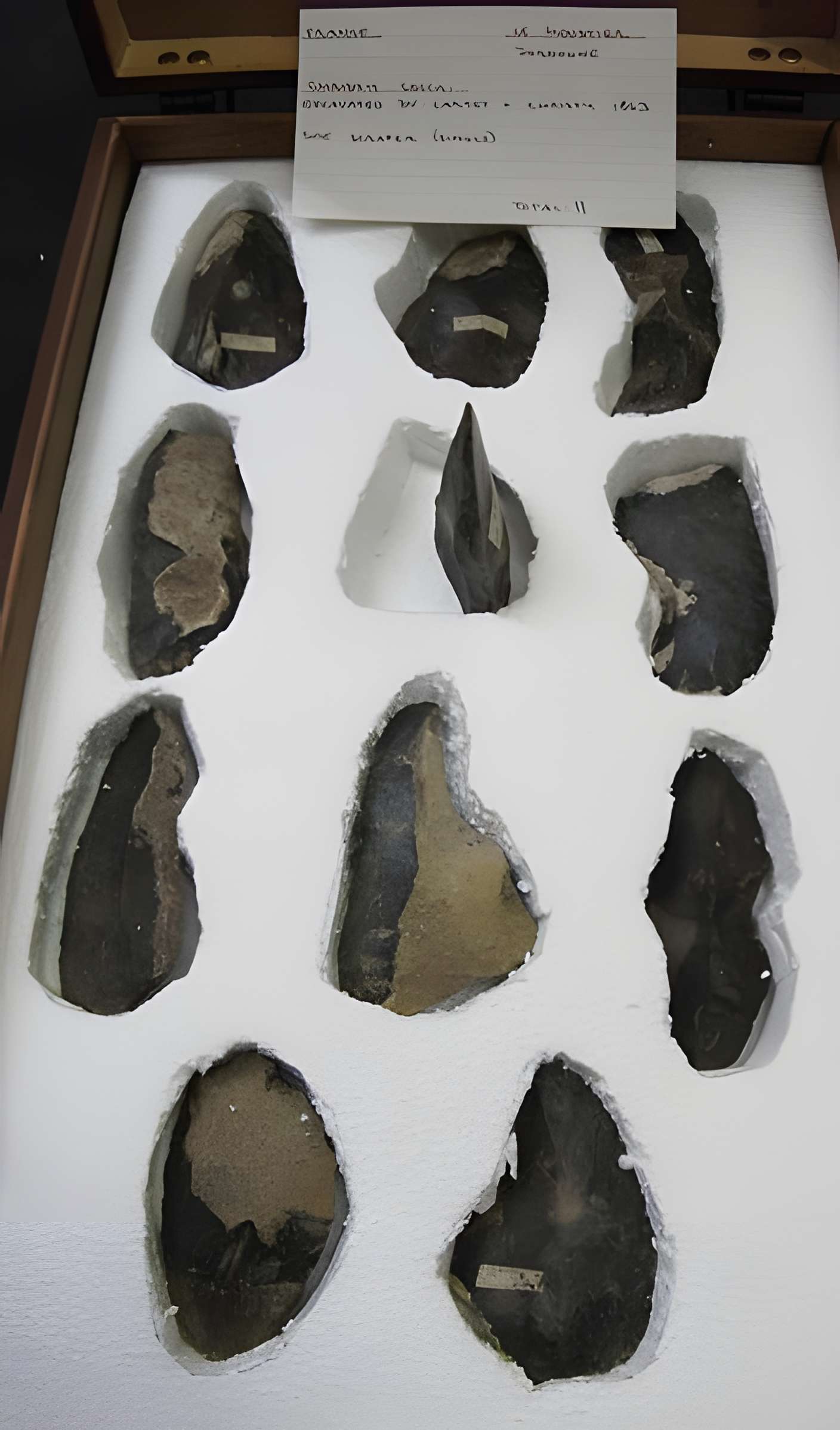 Gisement préhistorique du Moustier à Saint-Léon-sur-Vézère