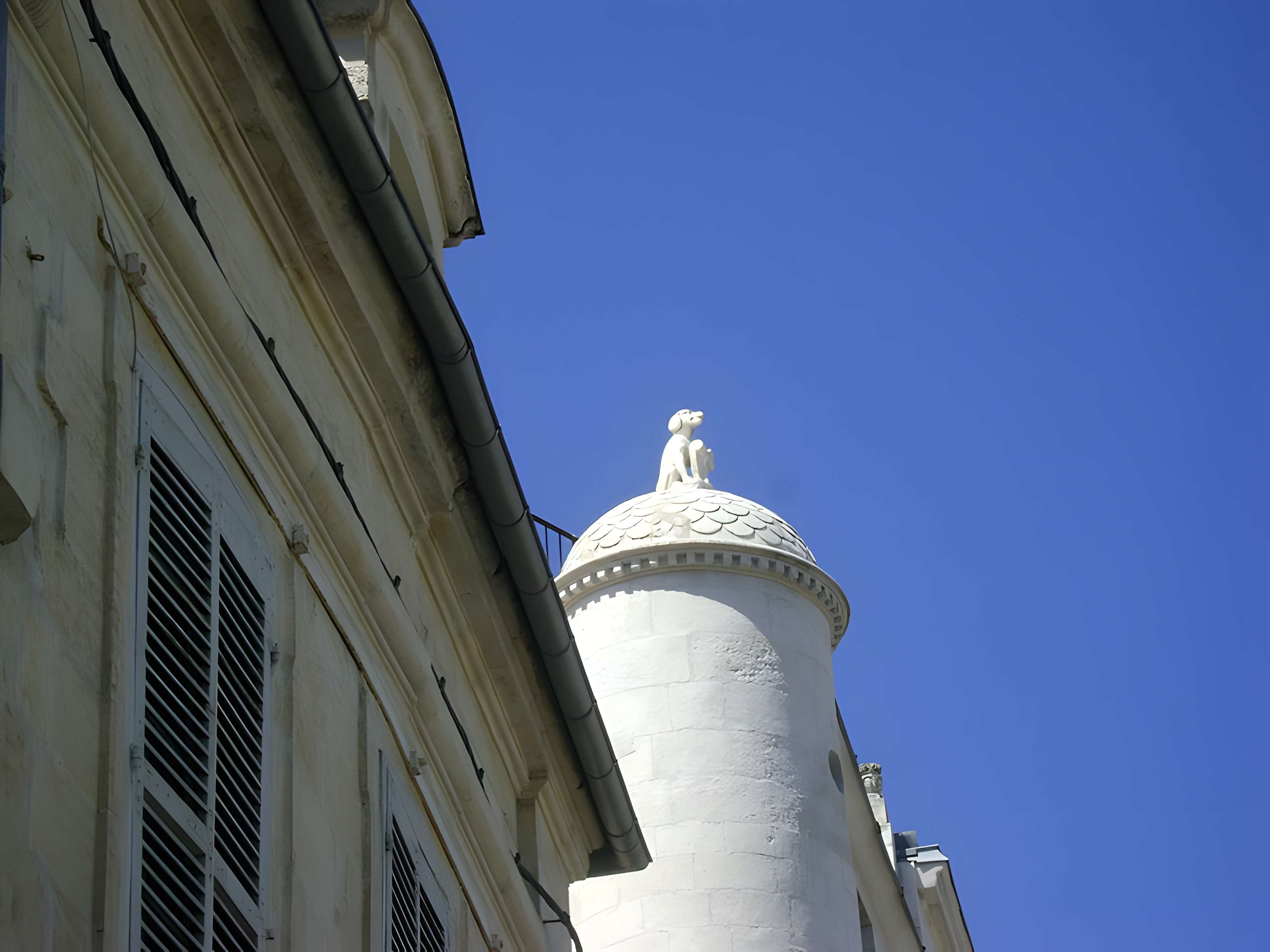 Maison au Chien à La Rochelle