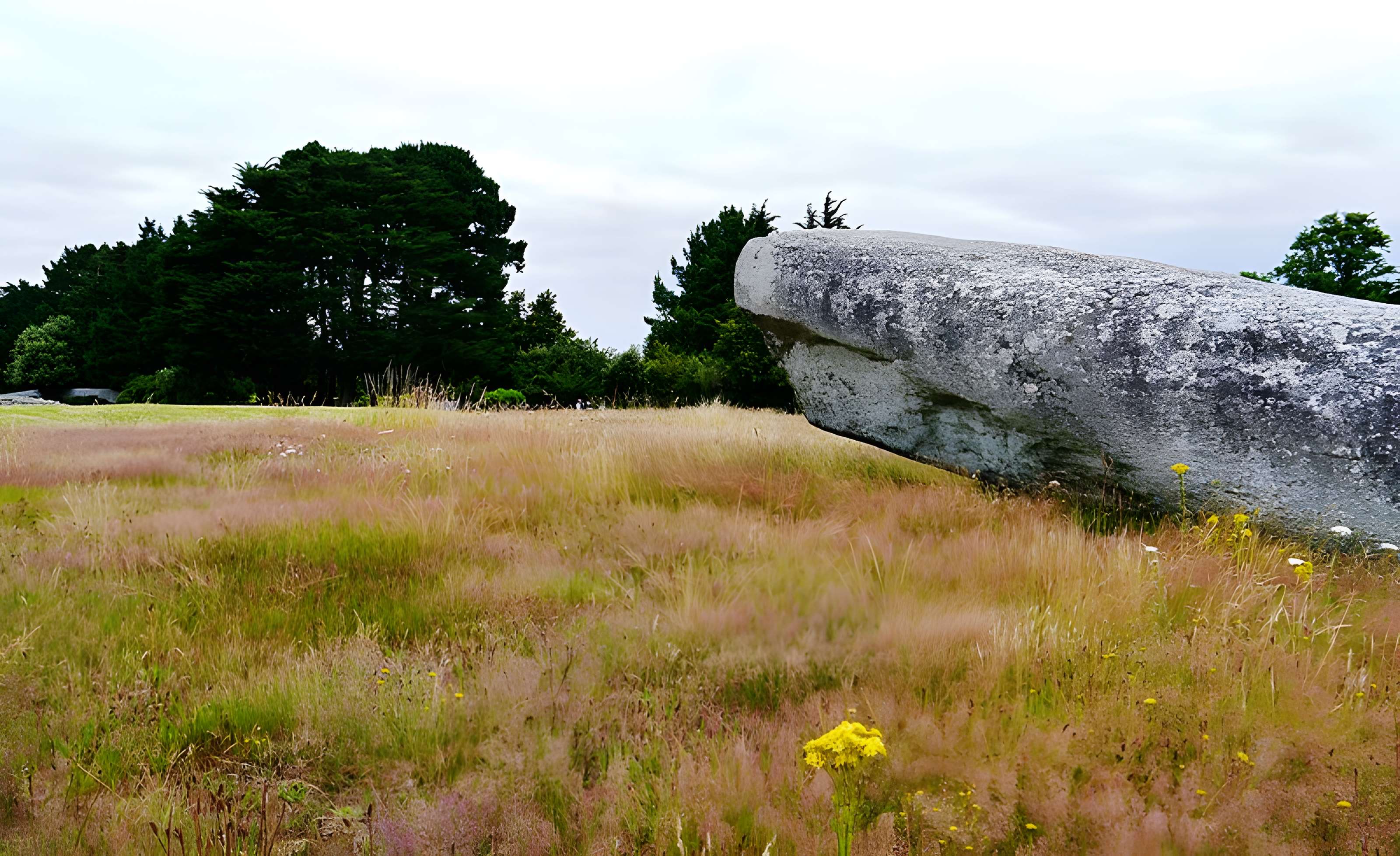 Grand menhir brisé d'Er Grah à Locmariaquer