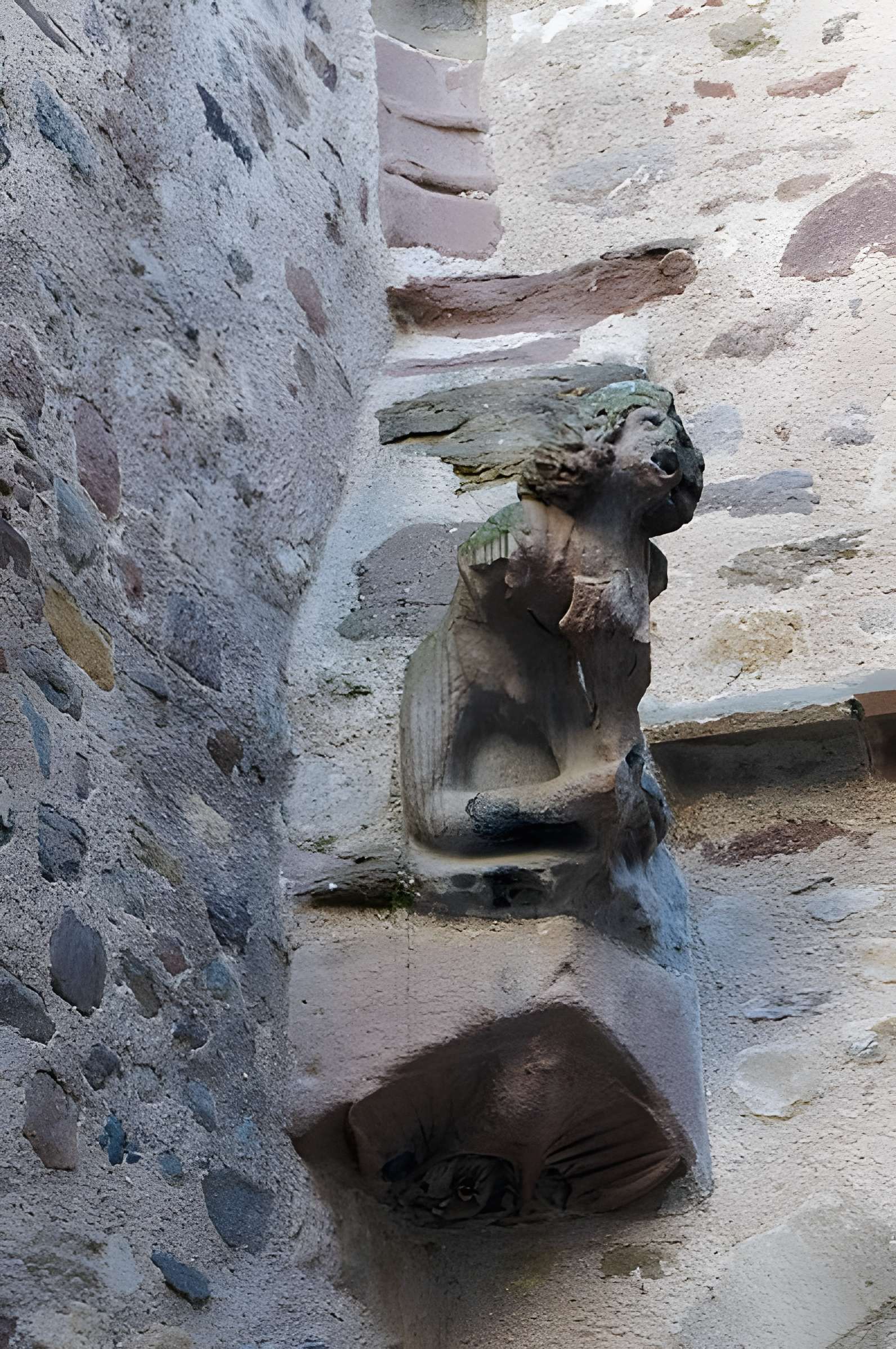 Maison de Benoît à Rodez