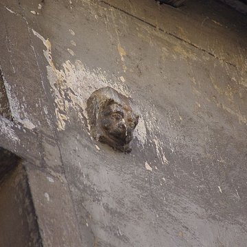 Maison de lEscargot à Tournus