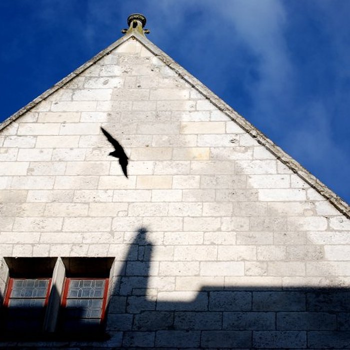 Photo de Maison de Pelvoysin à Bourges