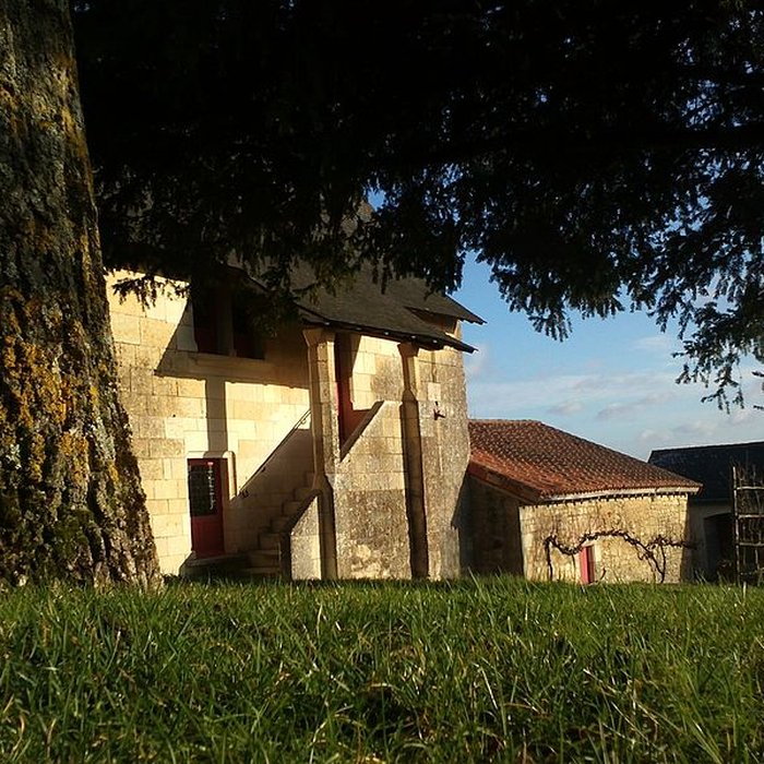 Photo de Maison de Rabelais à Seuilly