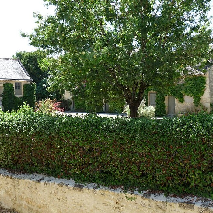 Photo de Maison de Rabelais à Seuilly