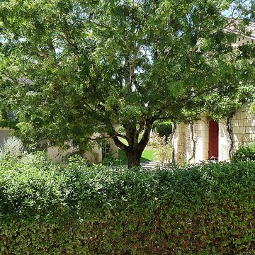 Maison de Rabelais à Seuilly