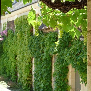 Maison de Rabelais à Seuilly