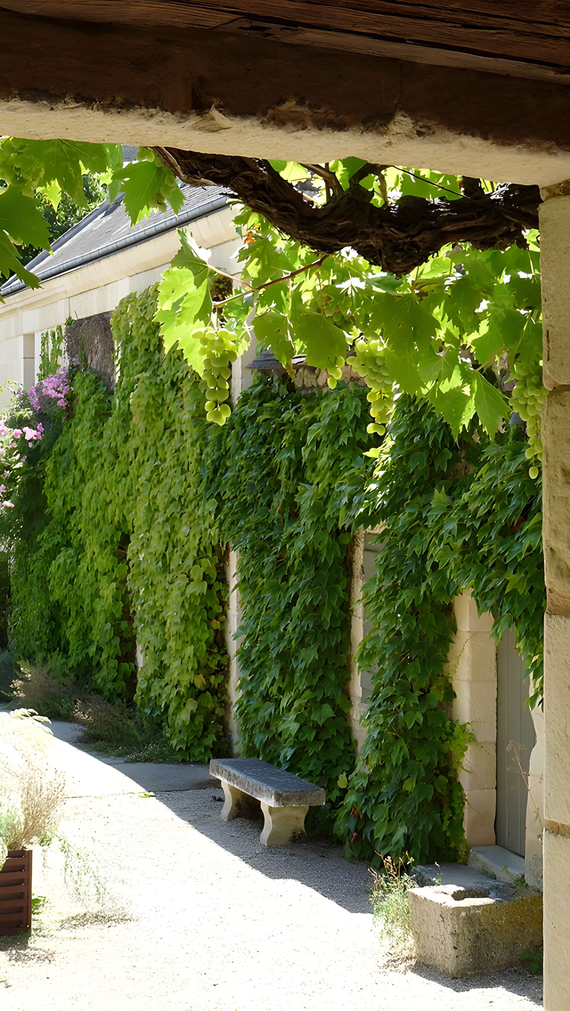 Maison de Rabelais à Seuilly