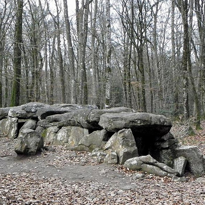 Photo de Dolmen, dit Maison des Feins, ou des Fées