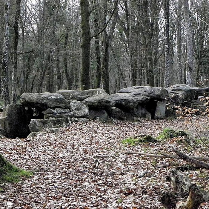 Photo de Dolmen, dit Maison des Feins, ou des Fées