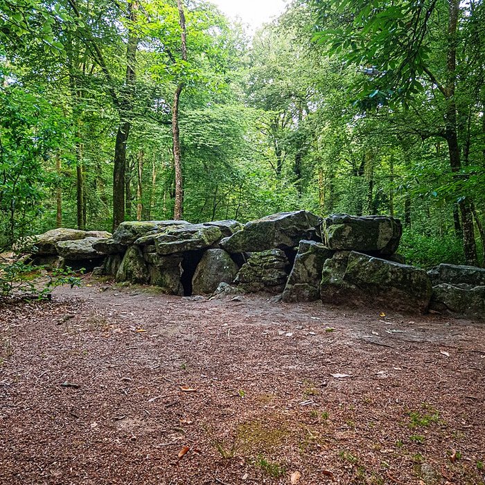 Photo de Dolmen, dit Maison des Feins, ou des Fées