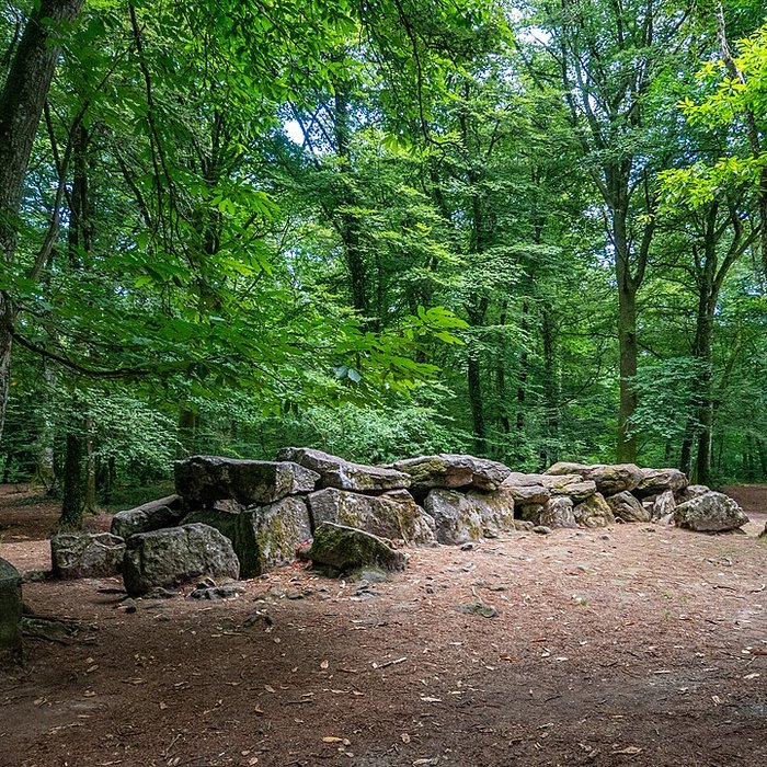 Photo de Dolmen, dit Maison des Feins, ou des Fées