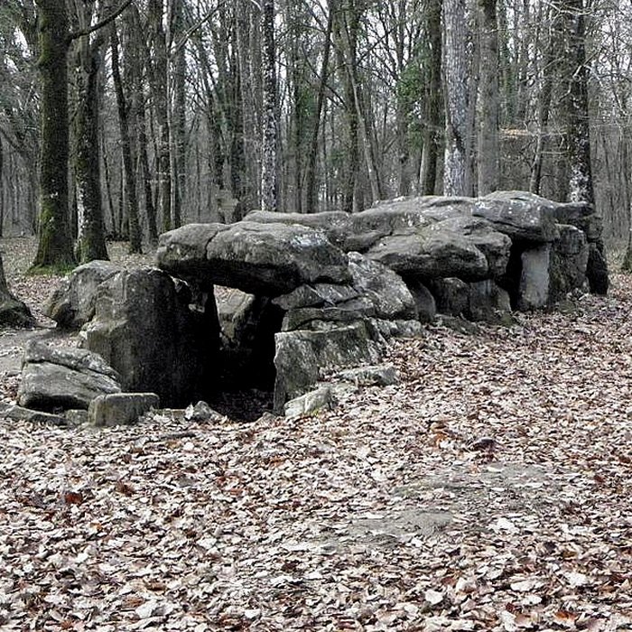 Photo de Dolmen, dit Maison des Feins, ou des Fées