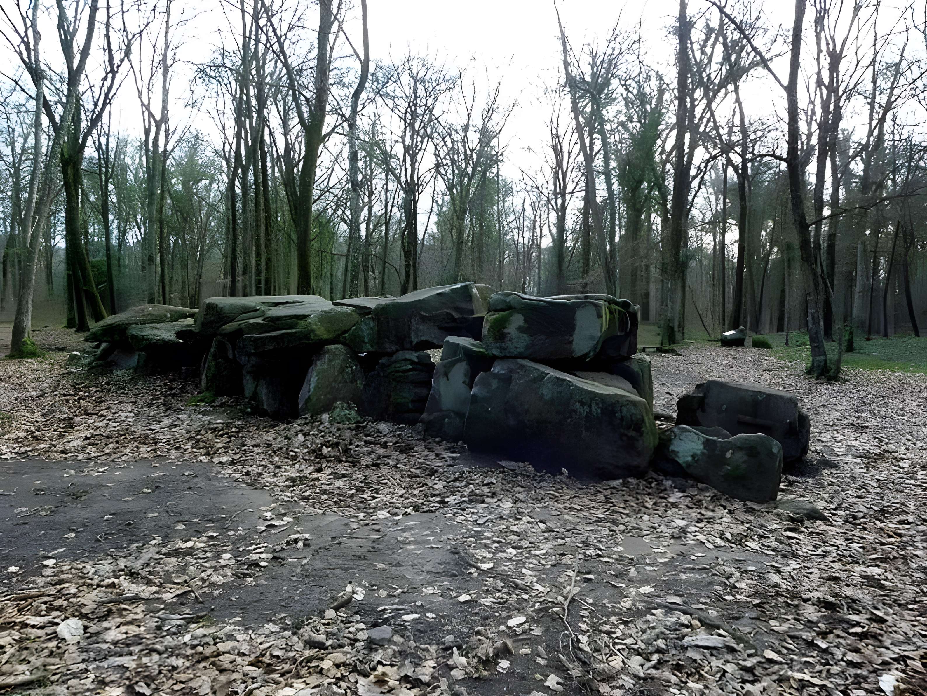 Dolmen, dit Maison des Feins, ou des Fées
