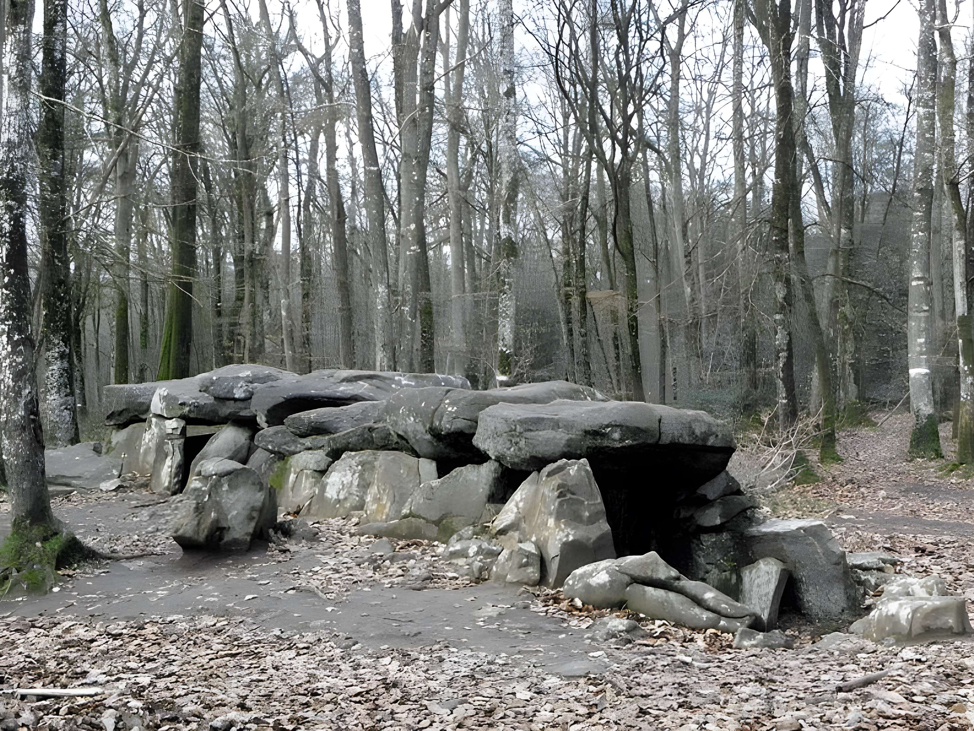 Dolmen, dit Maison des Feins, ou des Fées
