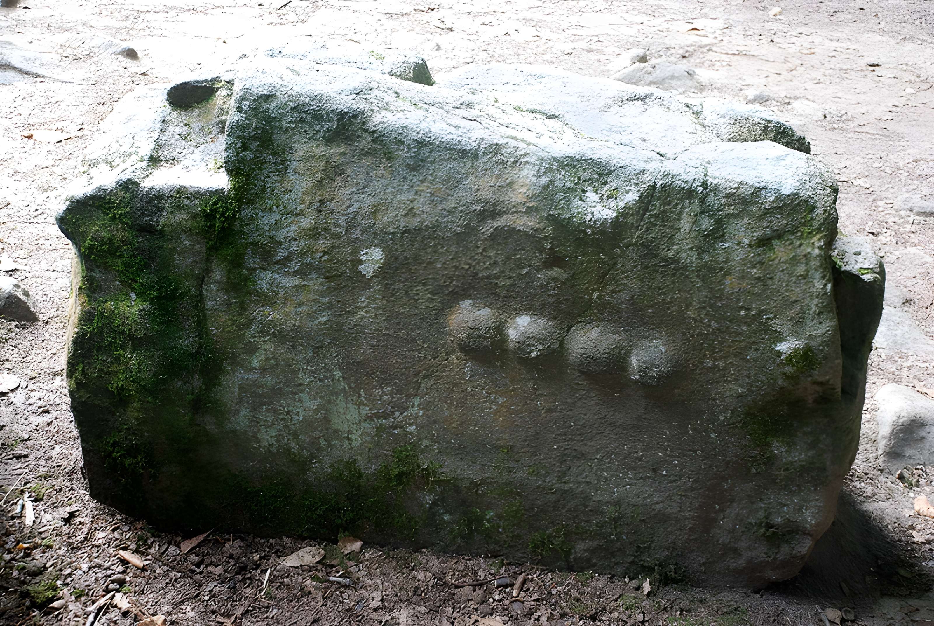 Dolmen, dit Maison des Feins, ou des Fées