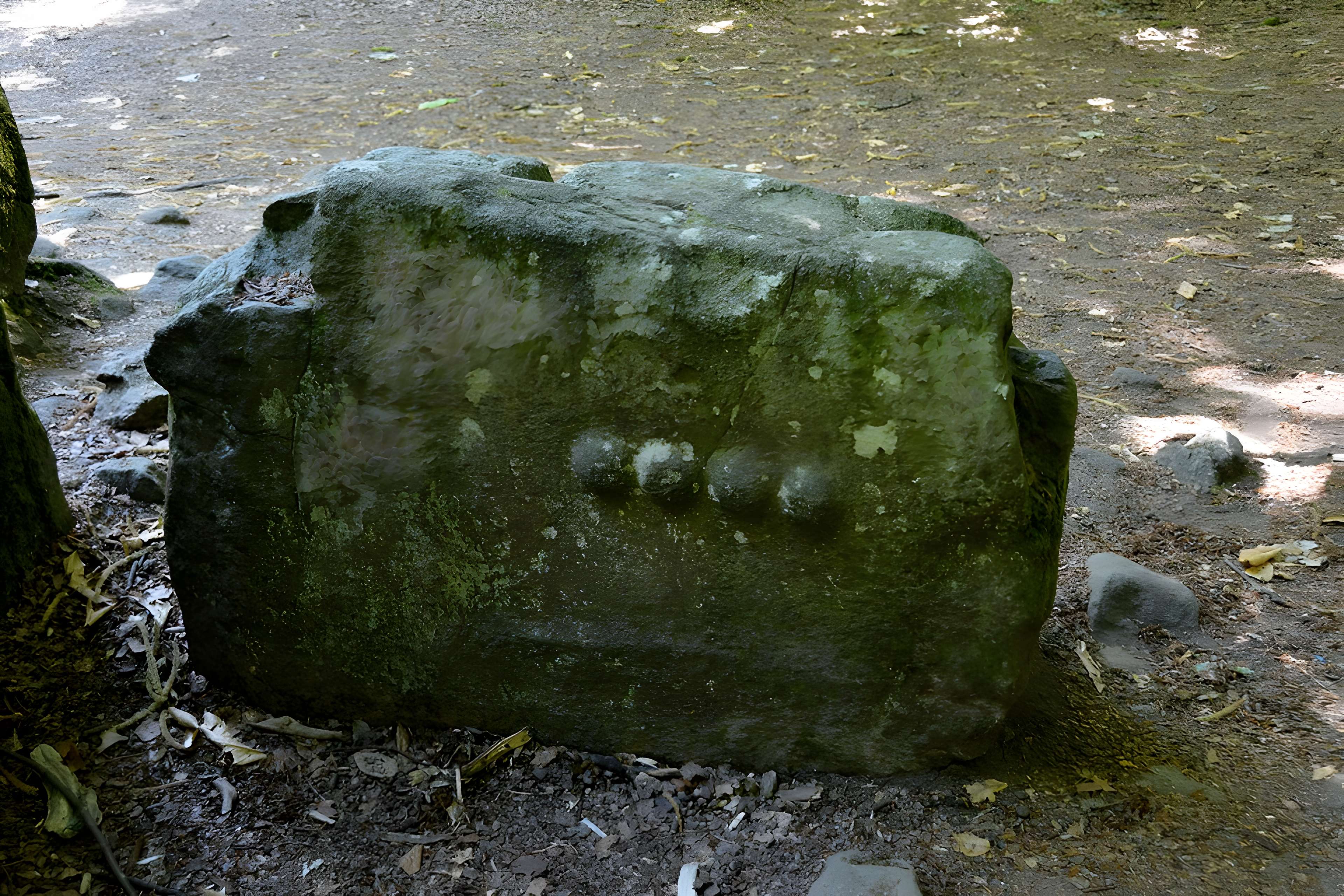 Dolmen, dit Maison des Feins, ou des Fées