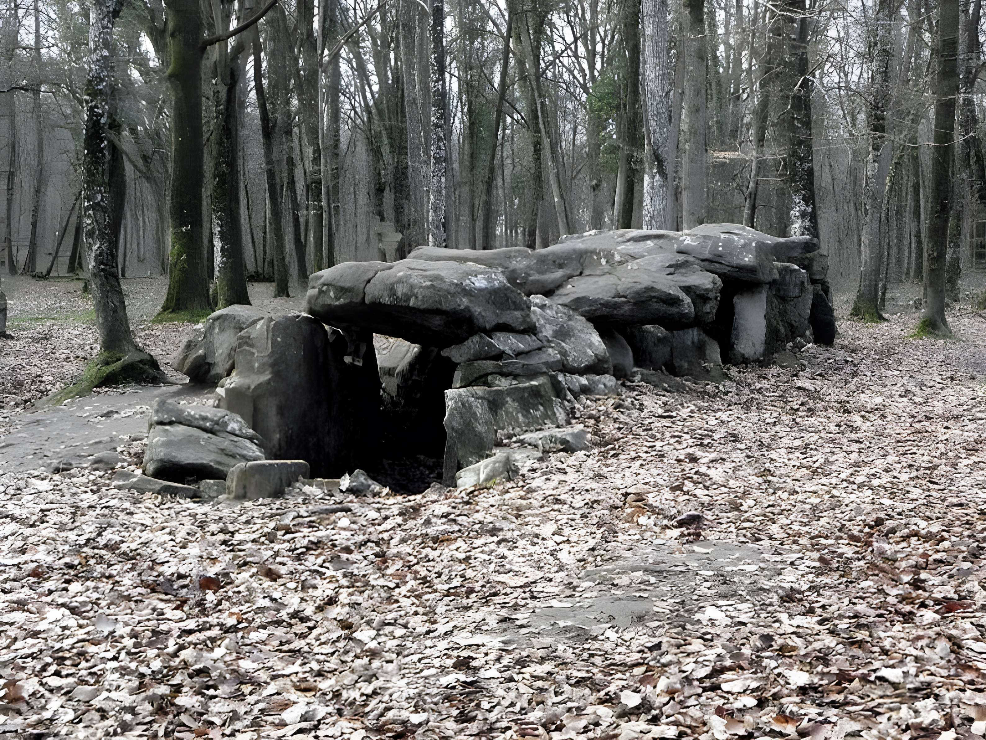 Dolmen, dit Maison des Feins, ou des Fées