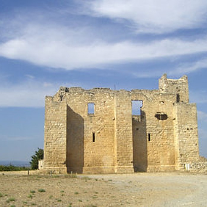 Photo de Ruines de lancienne grange cistercienne de Fontcalvy