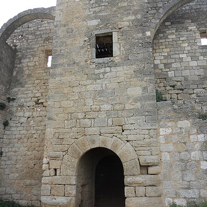 Photo de Ruines de lancienne grange cistercienne de Fontcalvy