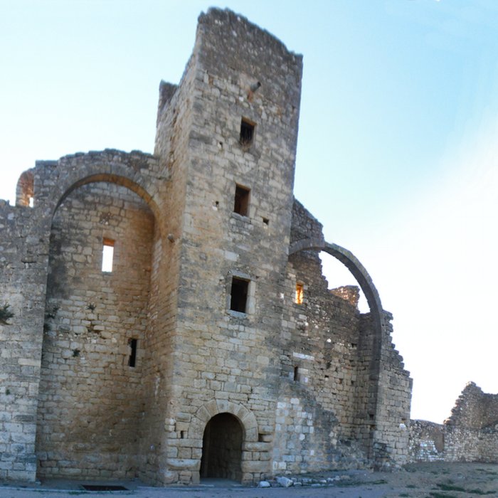 Photo de Ruines de lancienne grange cistercienne de Fontcalvy