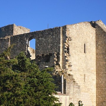 Ruines de lancienne grange cistercienne de Fontcalvy