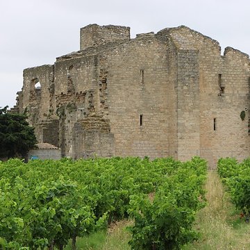 Ruines de lancienne grange cistercienne de Fontcalvy