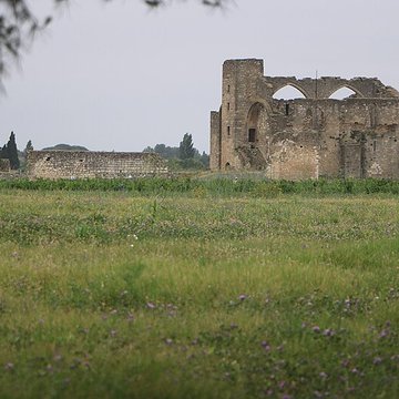 Ruines de lancienne grange cistercienne de Fontcalvy