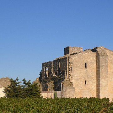 Ruines de lancienne grange cistercienne de Fontcalvy