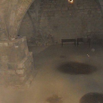 Ruines de lancienne grange cistercienne de Fontcalvy