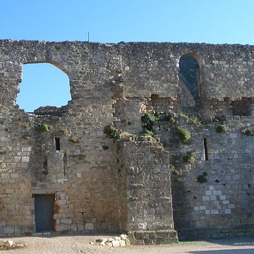 Ruines de lancienne grange cistercienne de Fontcalvy