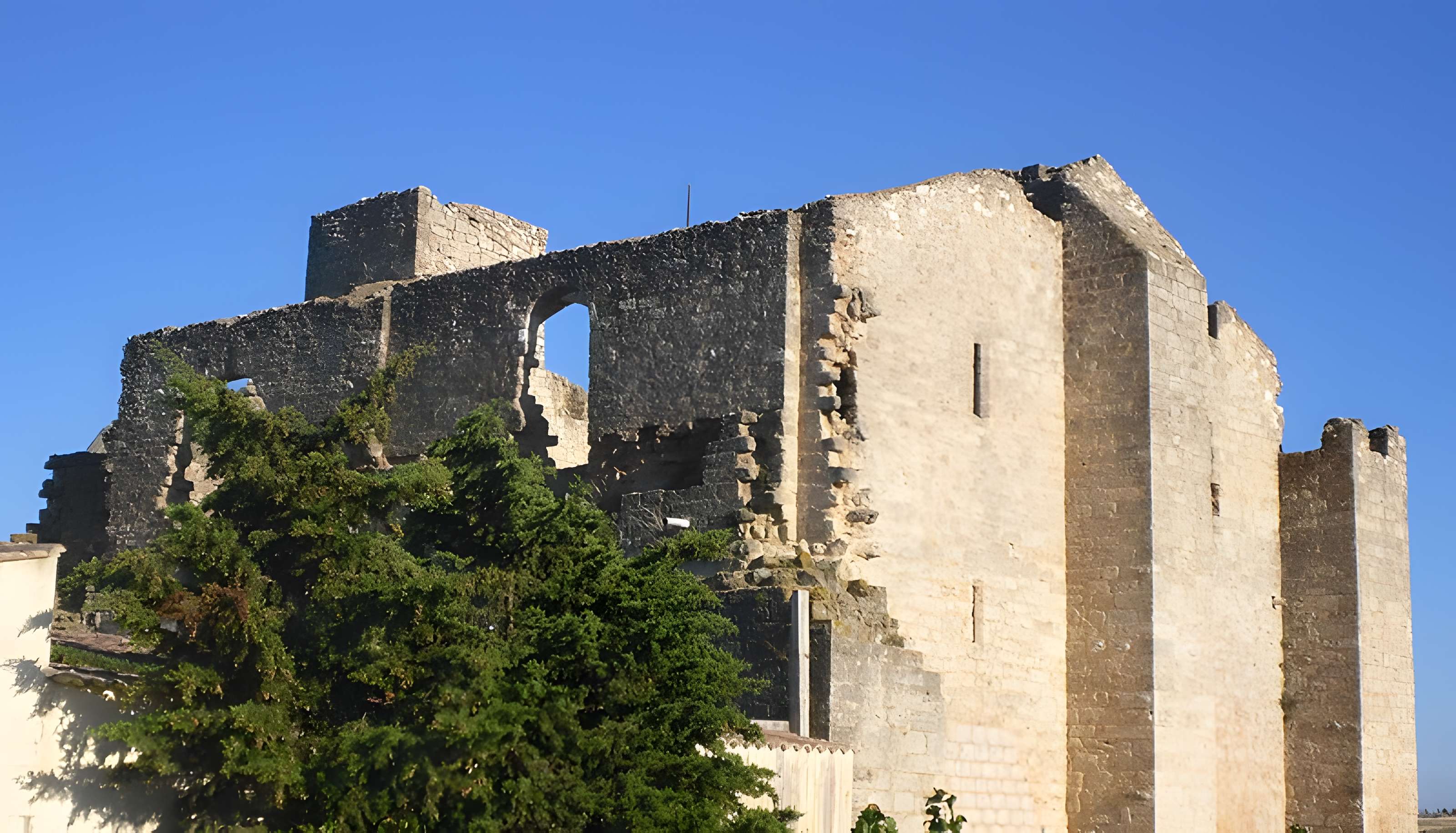 Ruines de l'ancienne grange cistercienne de Fontcalvy
