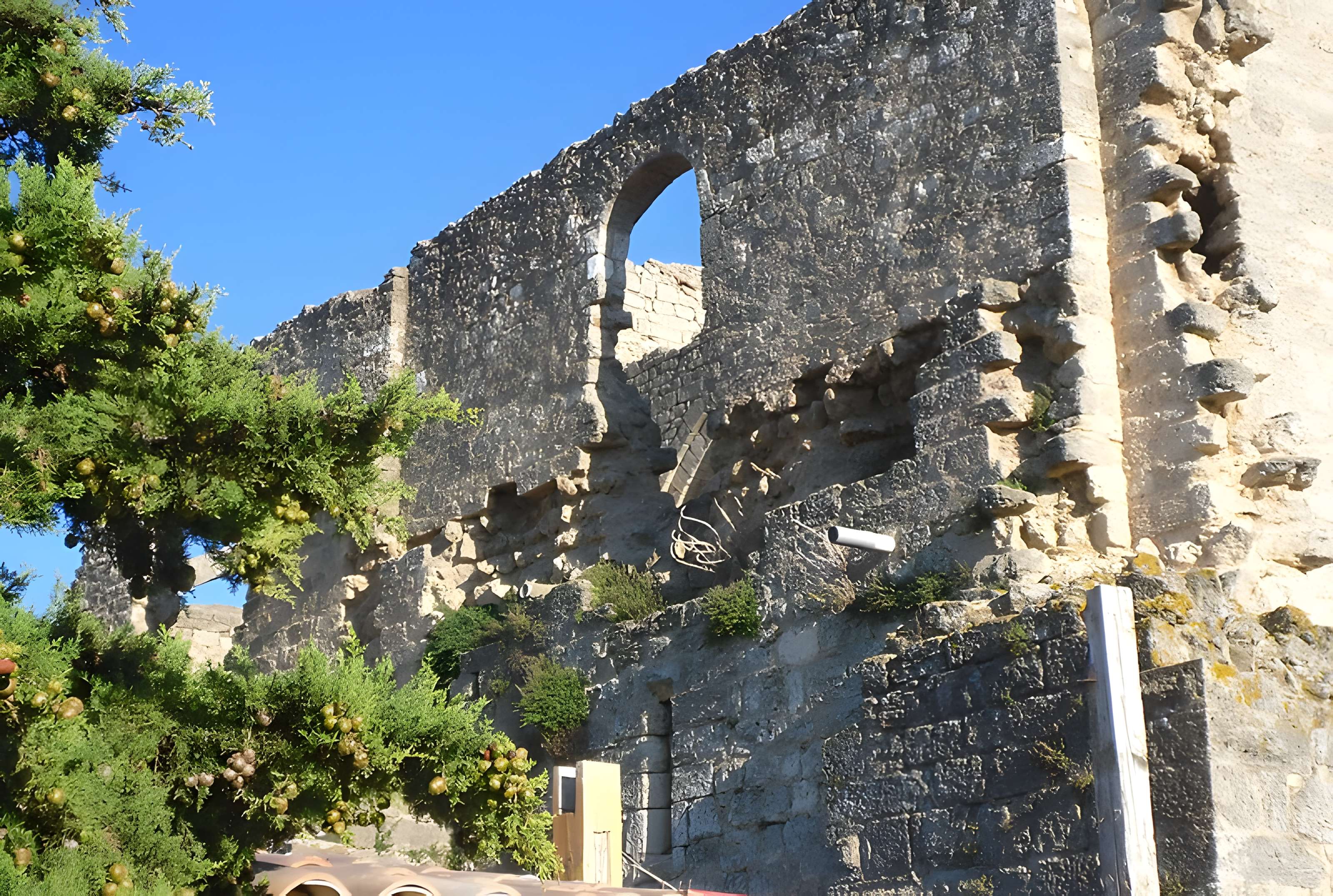 Ruines de l'ancienne grange cistercienne de Fontcalvy