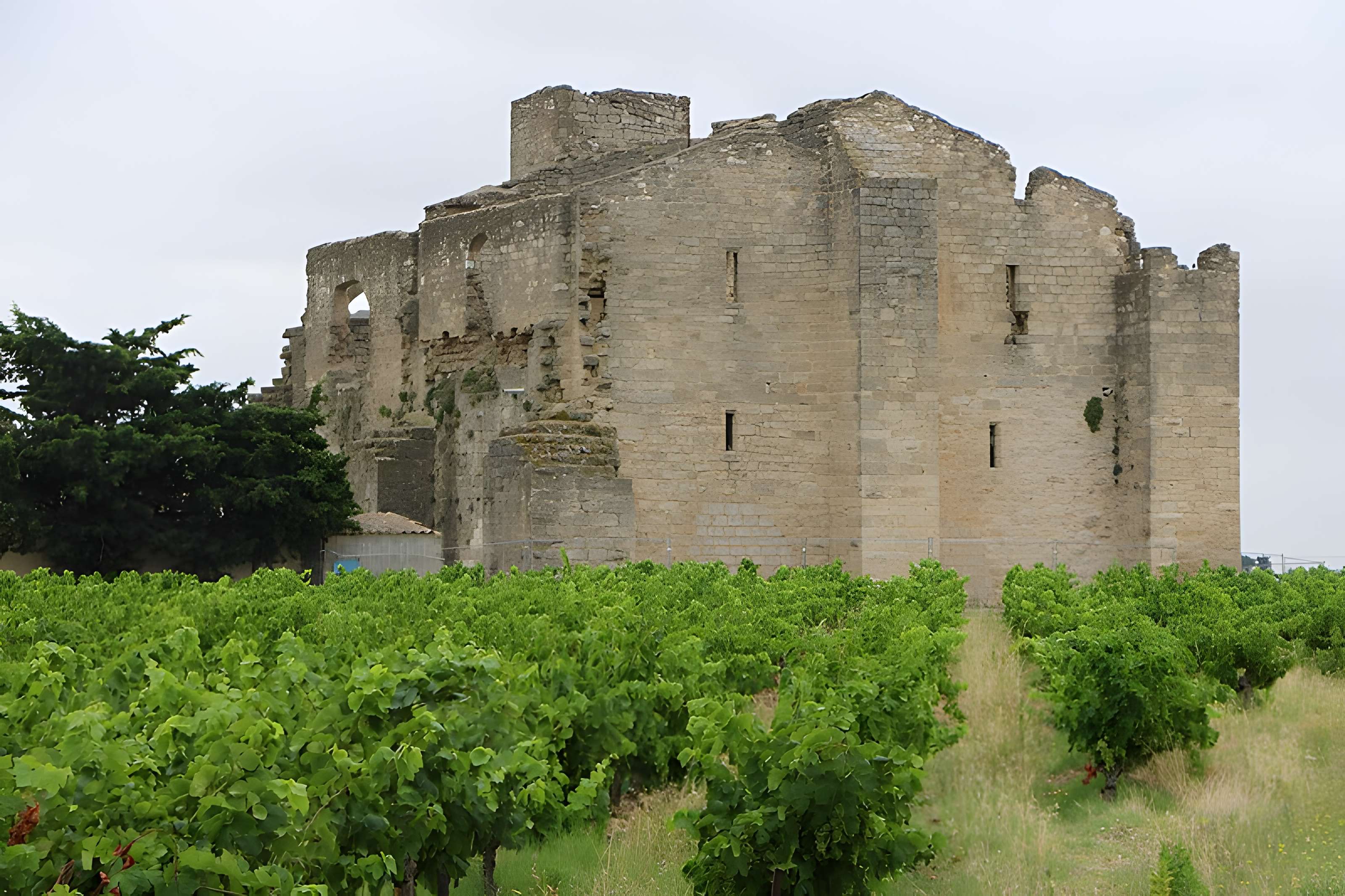 Ruines de l'ancienne grange cistercienne de Fontcalvy