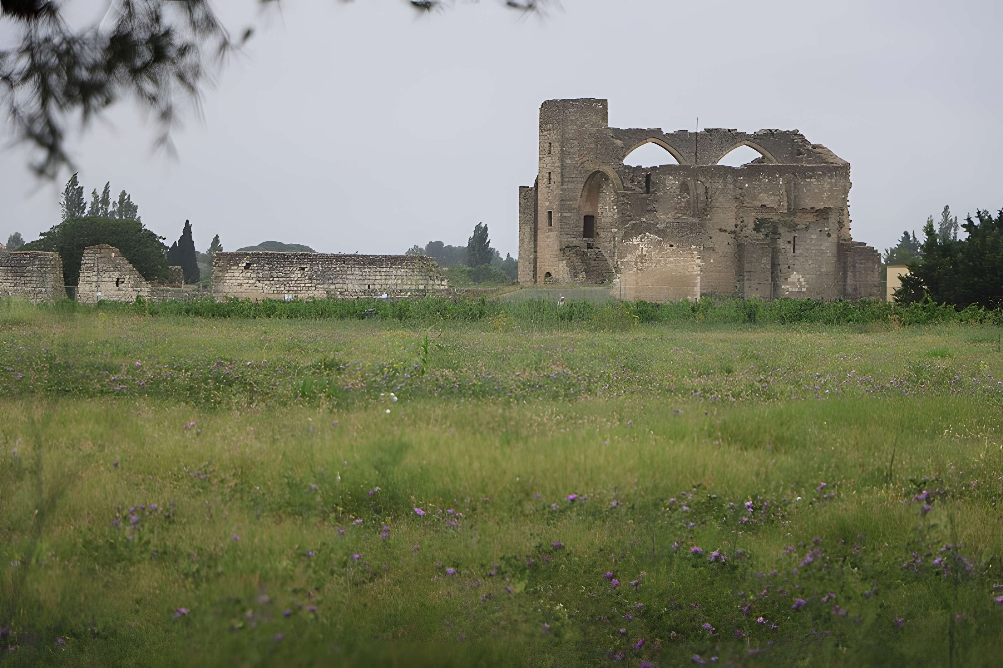 Ruines de l'ancienne grange cistercienne de Fontcalvy