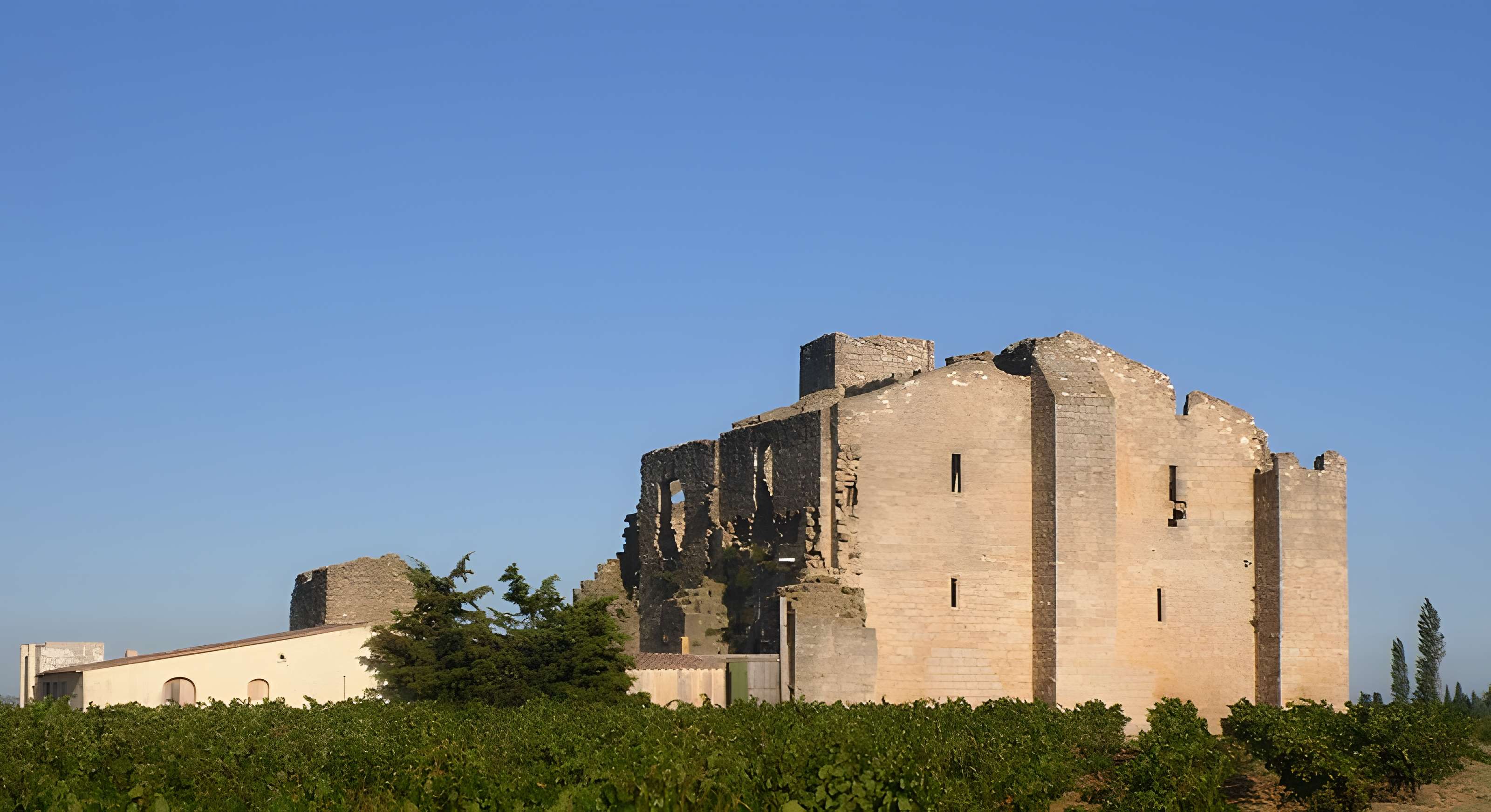 Ruines de l'ancienne grange cistercienne de Fontcalvy