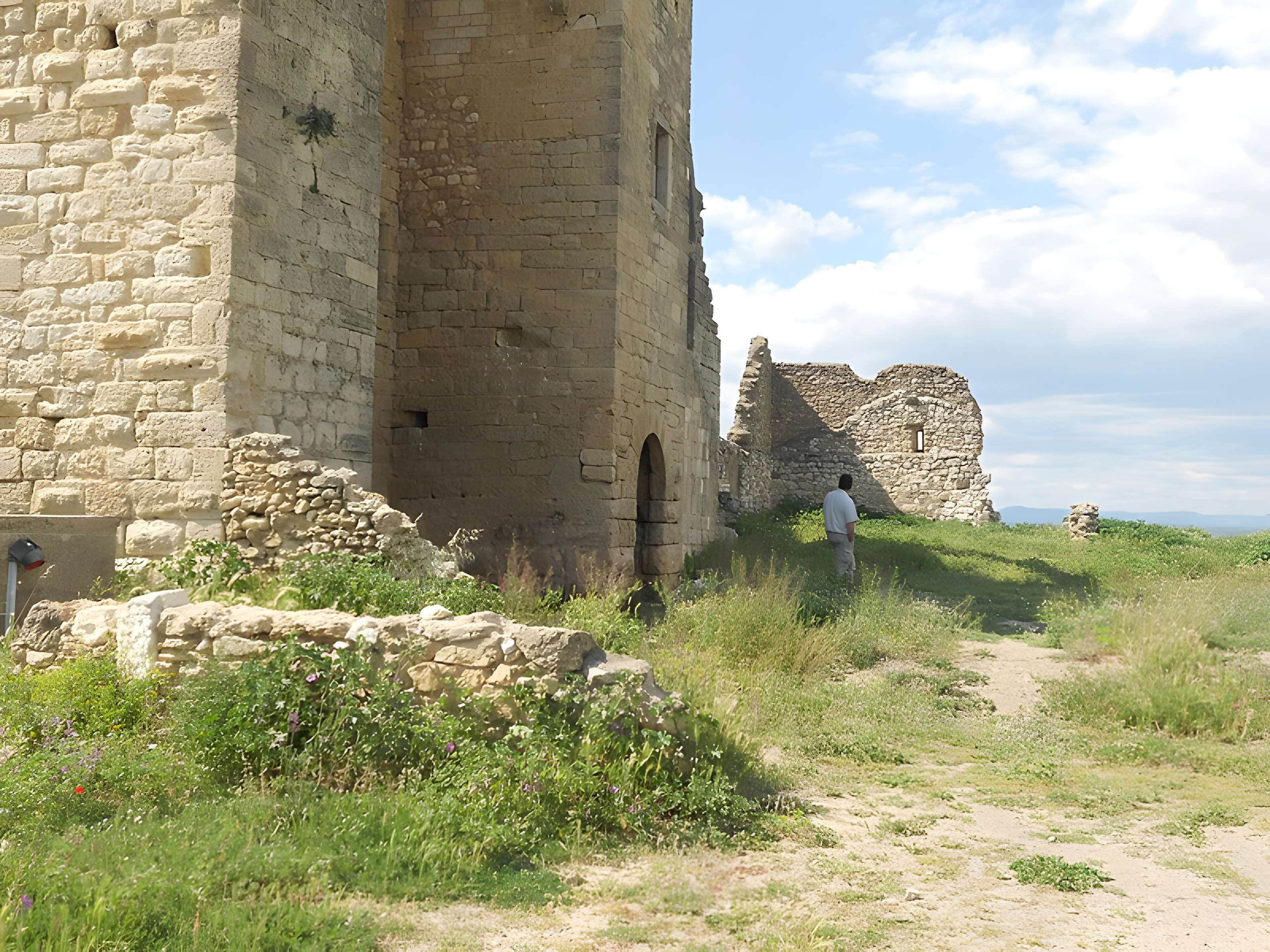 Ruines de l'ancienne grange cistercienne de Fontcalvy