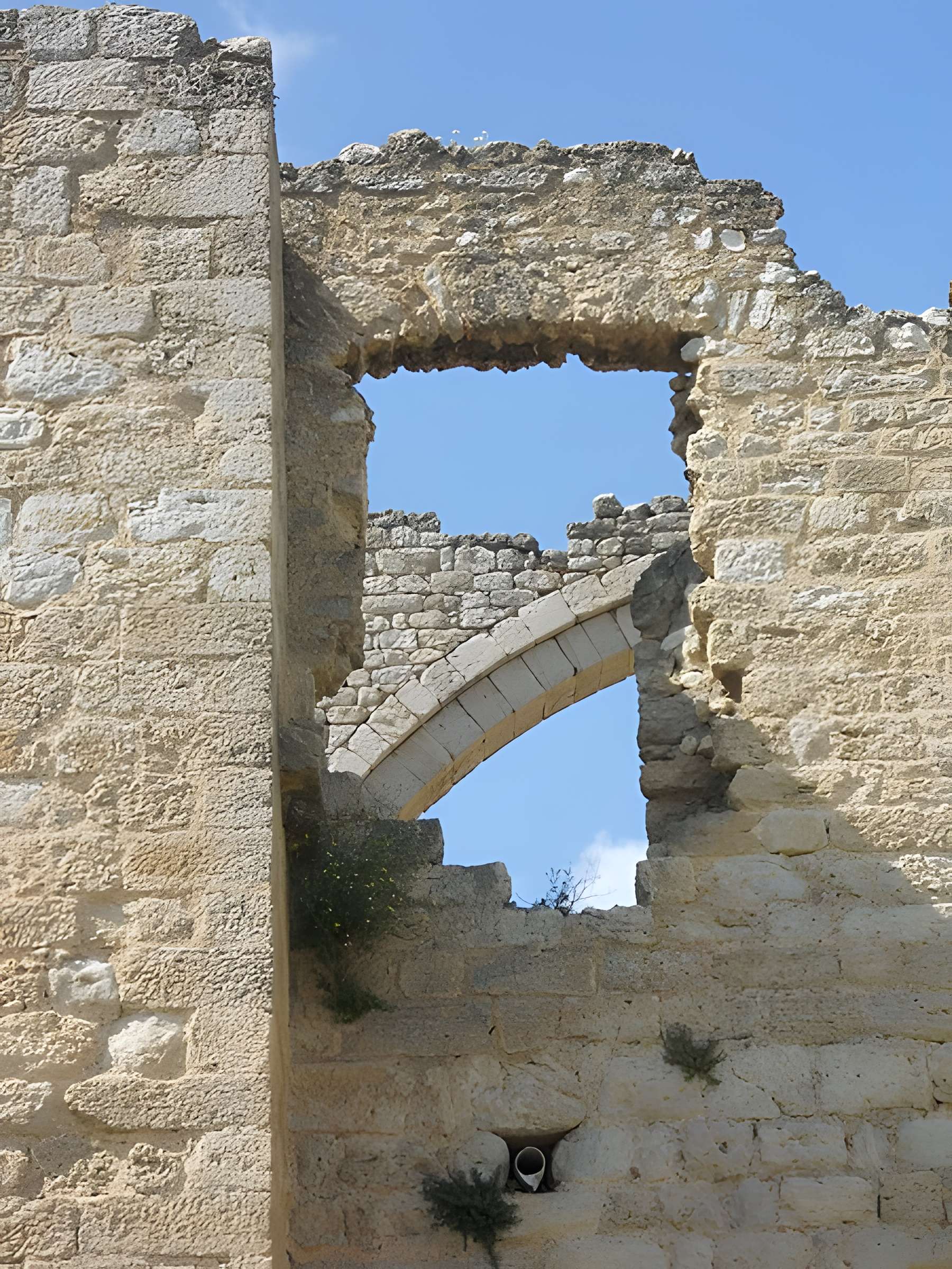 Ruines de l'ancienne grange cistercienne de Fontcalvy