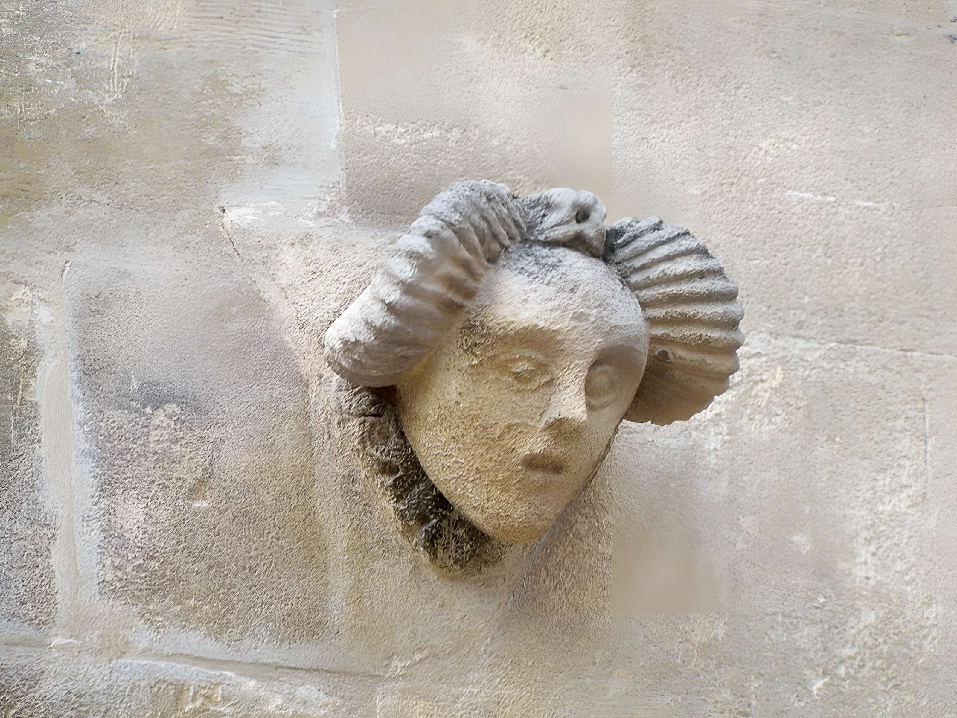 Maison du Planet à Saint-Rémy-de-Provence