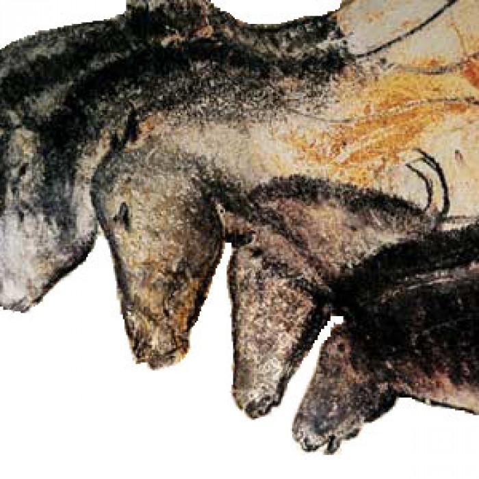 Photo de Grotte Chauvet à Vallon-Pont-dArc