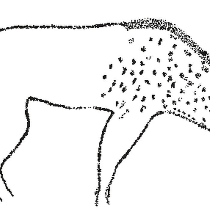 Photo de Grotte Chauvet à Vallon-Pont-dArc