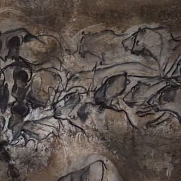 Photo de Grotte Chauvet à Vallon-Pont-dArc