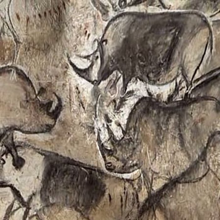 Photo de Grotte Chauvet à Vallon-Pont-dArc