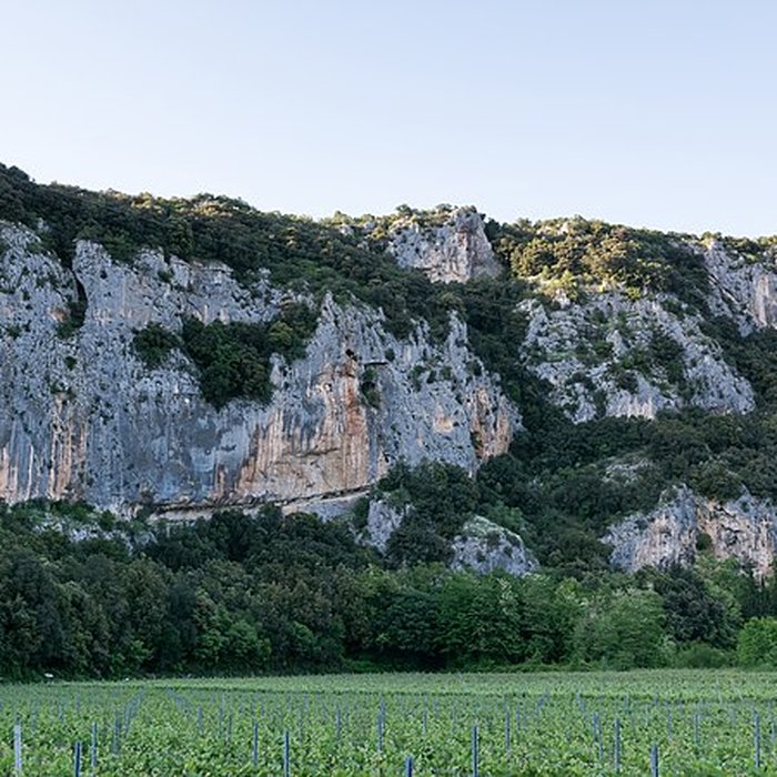 Photo de Grotte Chauvet à Vallon-Pont-dArc