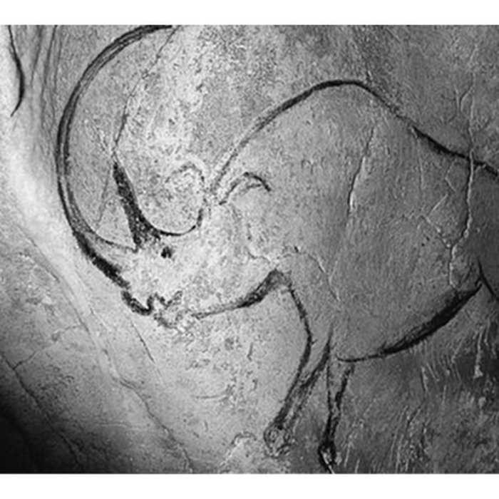 Photo de Grotte Chauvet à Vallon-Pont-dArc