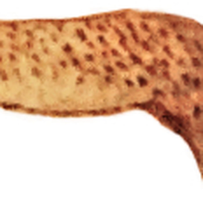 Photo de Grotte Chauvet à Vallon-Pont-dArc