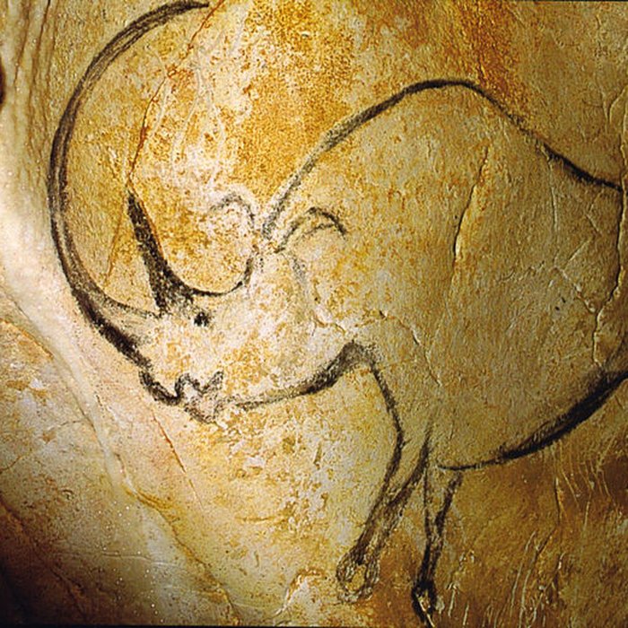 Photo de Grotte Chauvet à Vallon-Pont-dArc